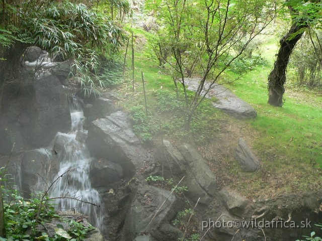 okapi 10.jpg - Congo Waterfall.